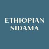 Ethiopian Sidama  2 Washed Teferi Kela Daraotilcho