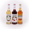 Monin Flavoring Syrup