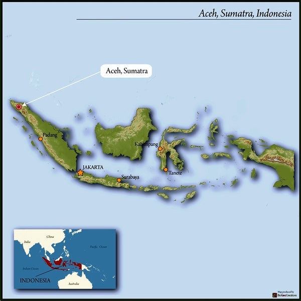 Sumatra Mandheling